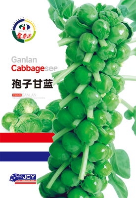 孢子甘蓝