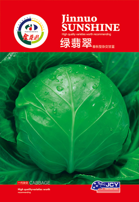 绿翡翠