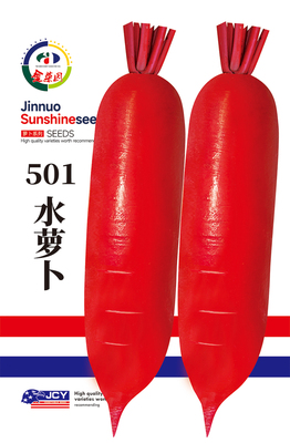 501水萝卜