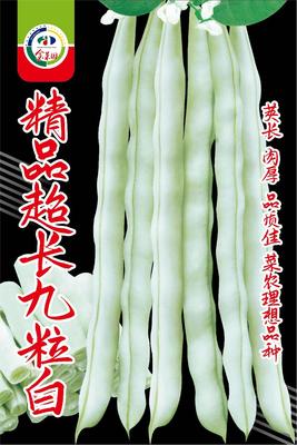 精品超长九粒白