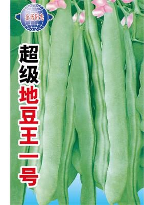 超级地豆王一号
