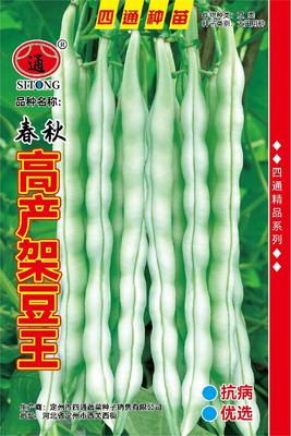 高产架豆王