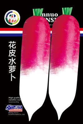 花皮水萝卜