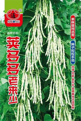 荚多多老来少