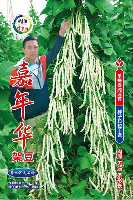 嘉年华