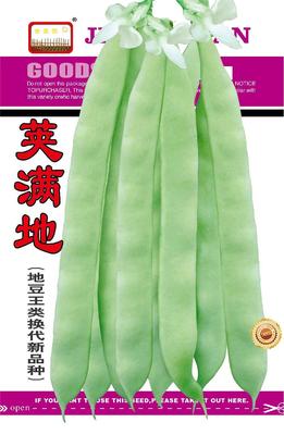 荚满地