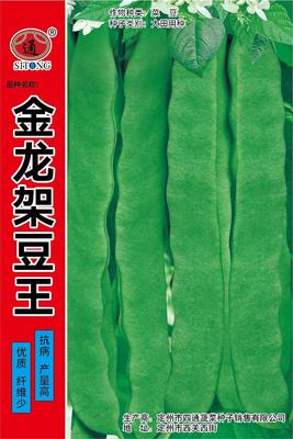 金龙架豆王