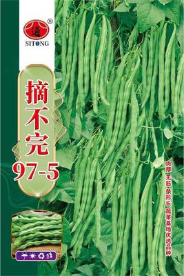 摘不完97-5