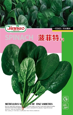 波菲特