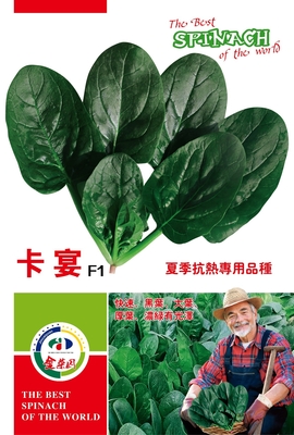 卡宴大袋