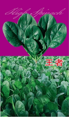 王者