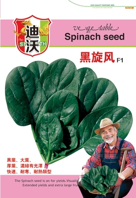 黑旋风F1