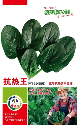 抗热王