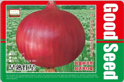 早熟红星