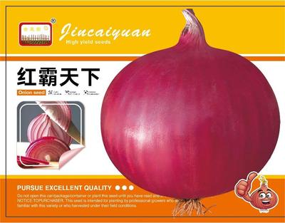 红霸天下