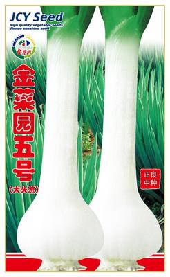 金菜园五号