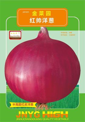 红帅洋葱