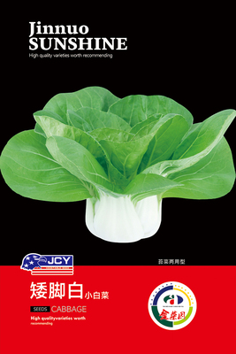矮脚白