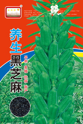 养生黑芝麻图