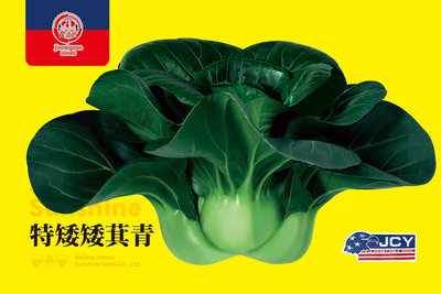 特矮矮萁青
