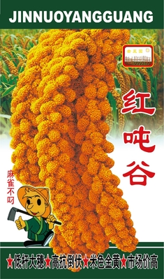 红吨谷