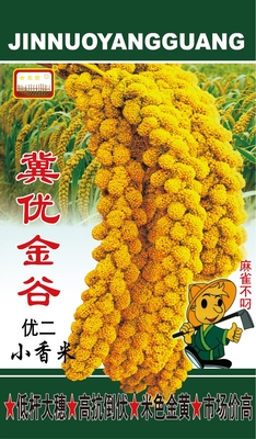 冀优金谷