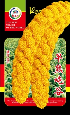 早熟吨谷