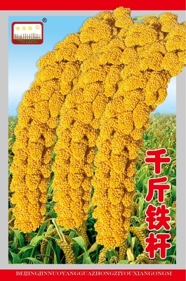 千斤铁杆