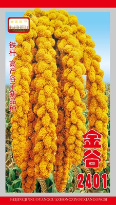 金谷版-