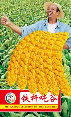 铁杆吨谷