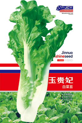 玉贵妃