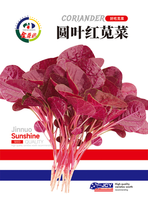 圆叶红苋菜