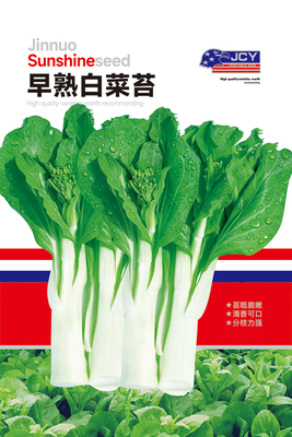 早熟白菜苔