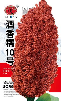酒香糯10号