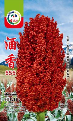 酒香555