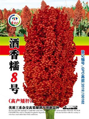 酒香糯8号