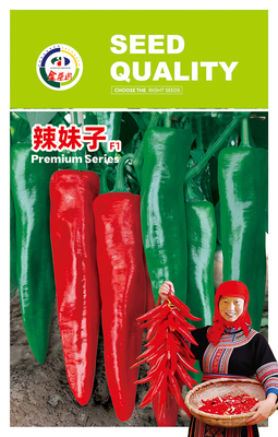 辣妹子