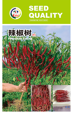 辣椒树