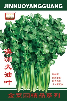 澳洲大油叶