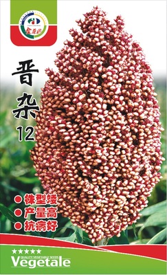 晋杂12
