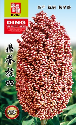 鼎誉抗四