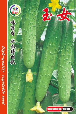 玉女