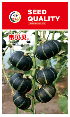 串贝贝