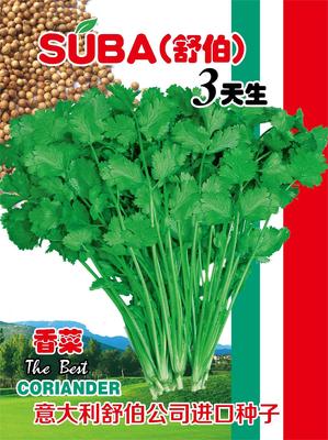 舒伯3天生
