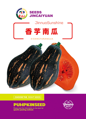 香芋南瓜