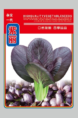 紫丽