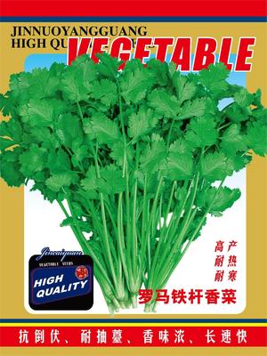 罗马铁杆