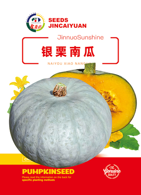 银栗南瓜