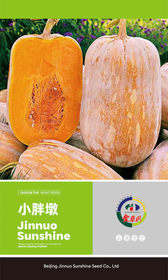 小胖墩
