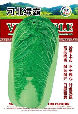 河北绿霸
